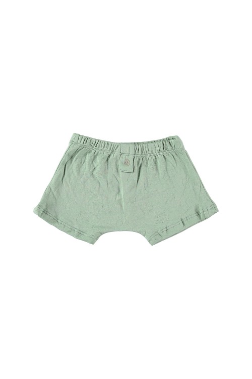 almond green organic boy's boxer shorts