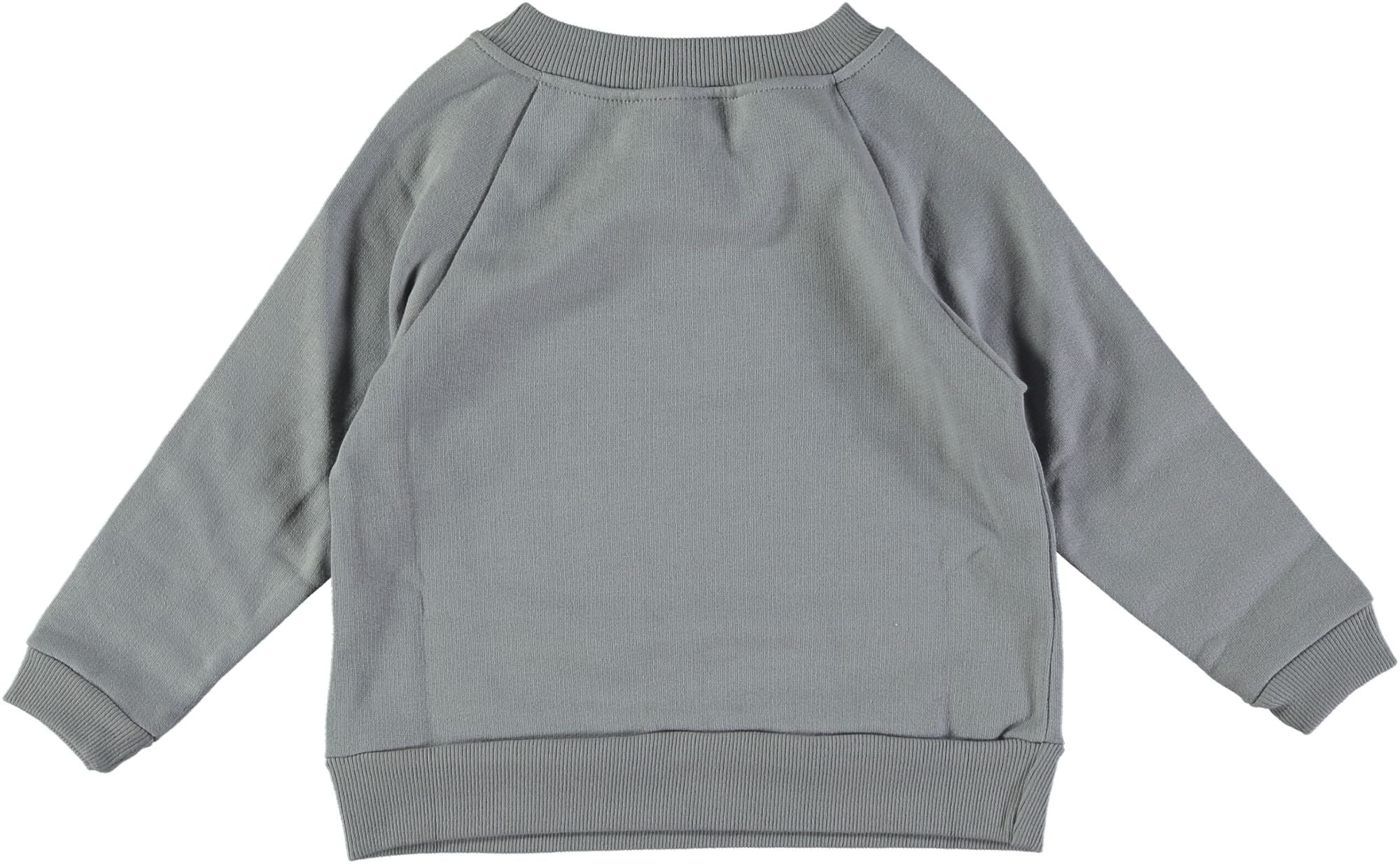 Sweat-shirt écureuil enfant