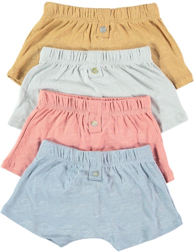 Boxer garçon Boxeur reste 3 ans