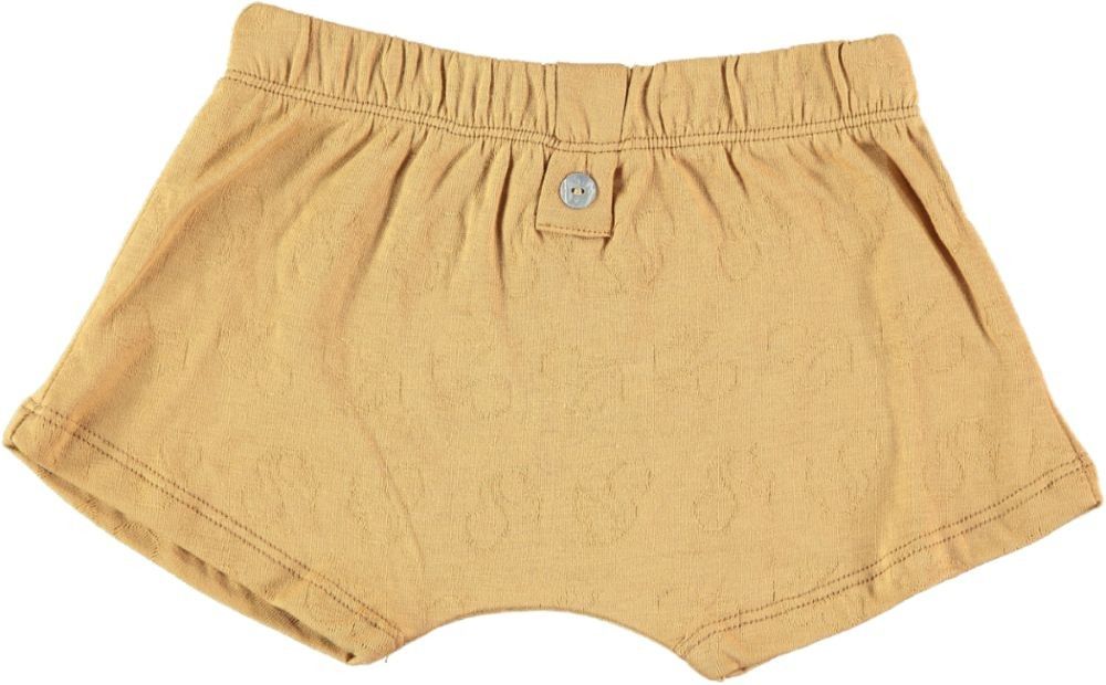 Boxer garçon Boxeur reste 3 ans