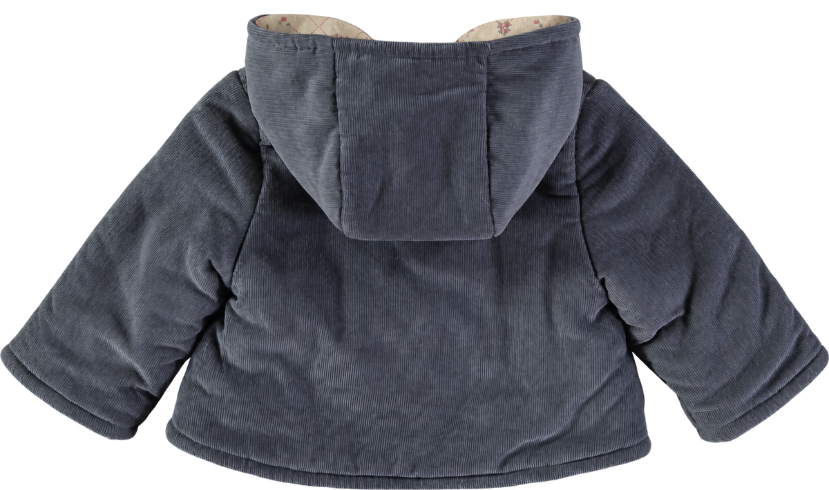 Baby Coat Orso organi cotton padding