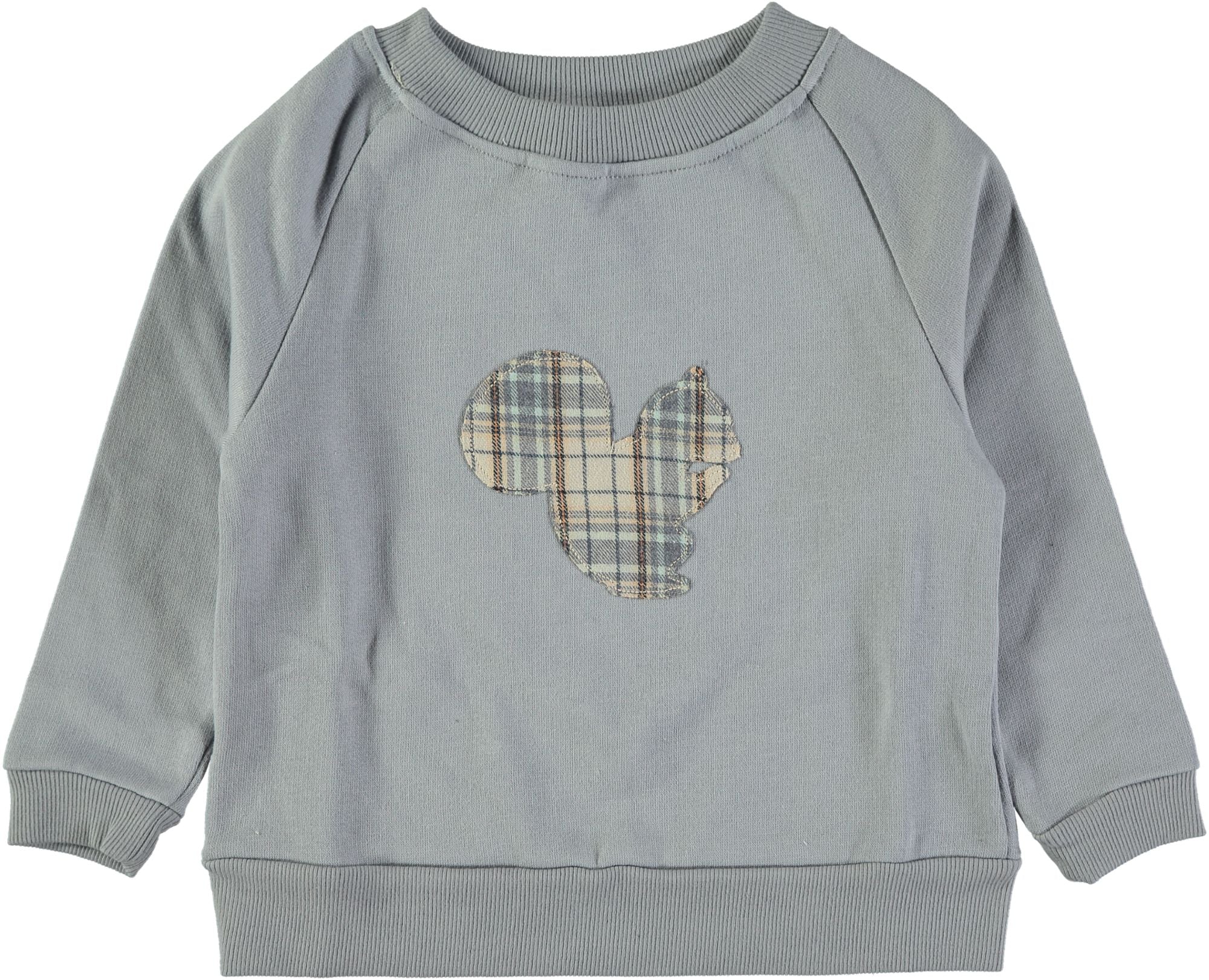 Sweat-shirt écureuil enfant